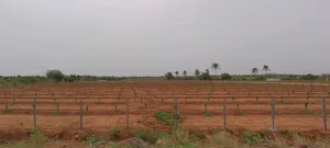 Palli, Karnataka 574244, India preview 3