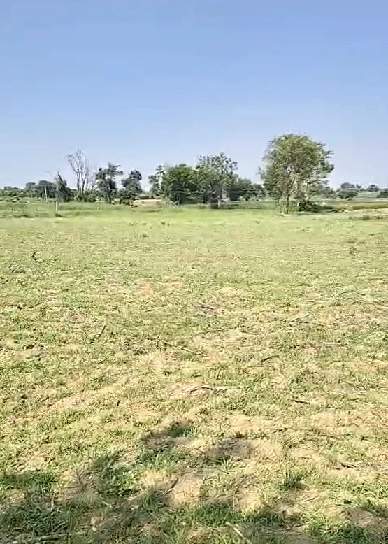 QPW9+Q3F, Sangareddy, Kollur, Telangana 502246, India