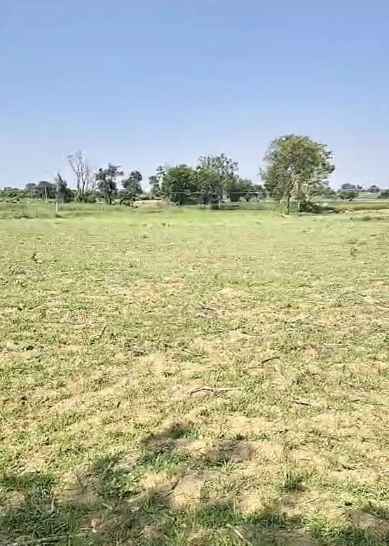 QPW9+Q3F, Sangareddy, Kollur, Telangana 502246, India - Photo 3
