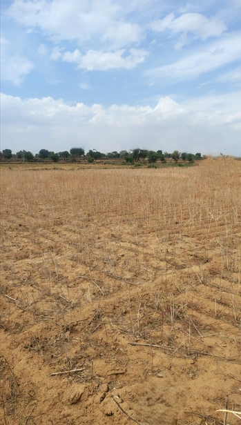Barnagar, Madhya Pradesh 456771, India preview 3