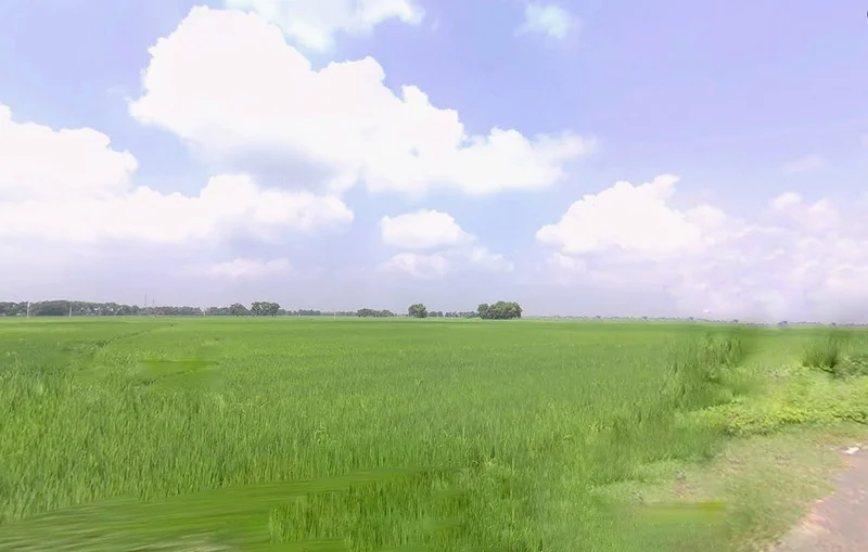 Bihta Chowk, Bihar 801103 preview 2