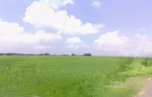 Bihta Chowk, Bihar 801103 preview 2