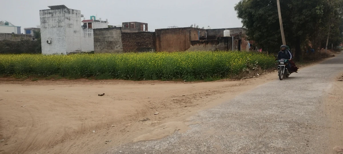 Barodameo, Rajasthan 301021, India