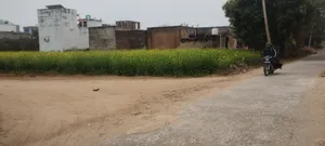 Barodameo, Rajasthan 301021, India preview 4