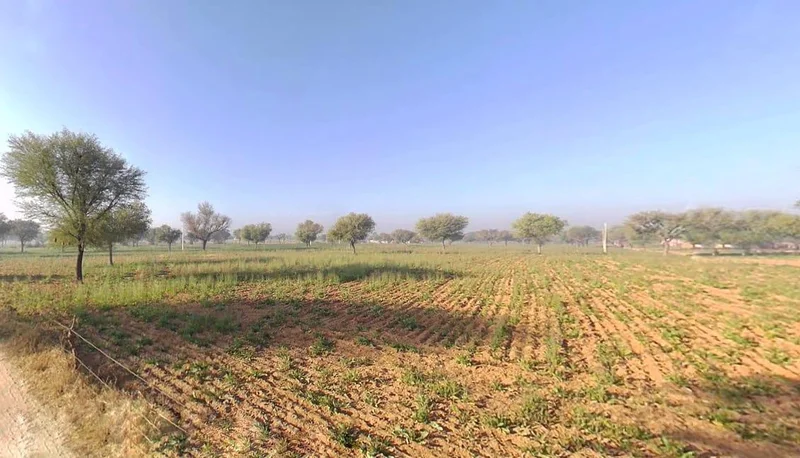 6CHQ+377, Deva Ka Bas, Rajasthan 303602, India preview 3