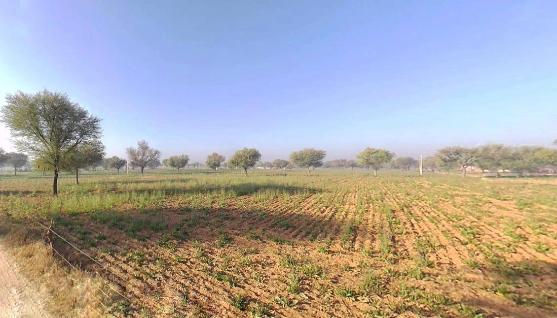 6CHQ+377, Deva Ka Bas, Rajasthan 303602, India