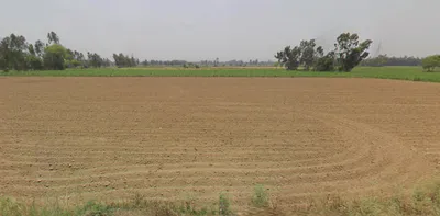 Kanth, Uttar Pradesh 244501, India preview 3