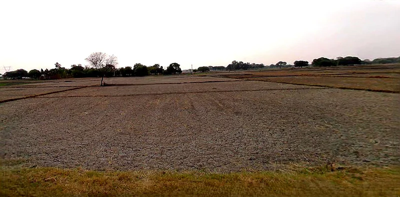 Chhata, Uttar Pradesh 281401, India preview 2