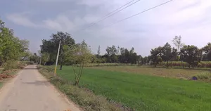 Phalauda, Uttar Pradesh 250401, India preview 2