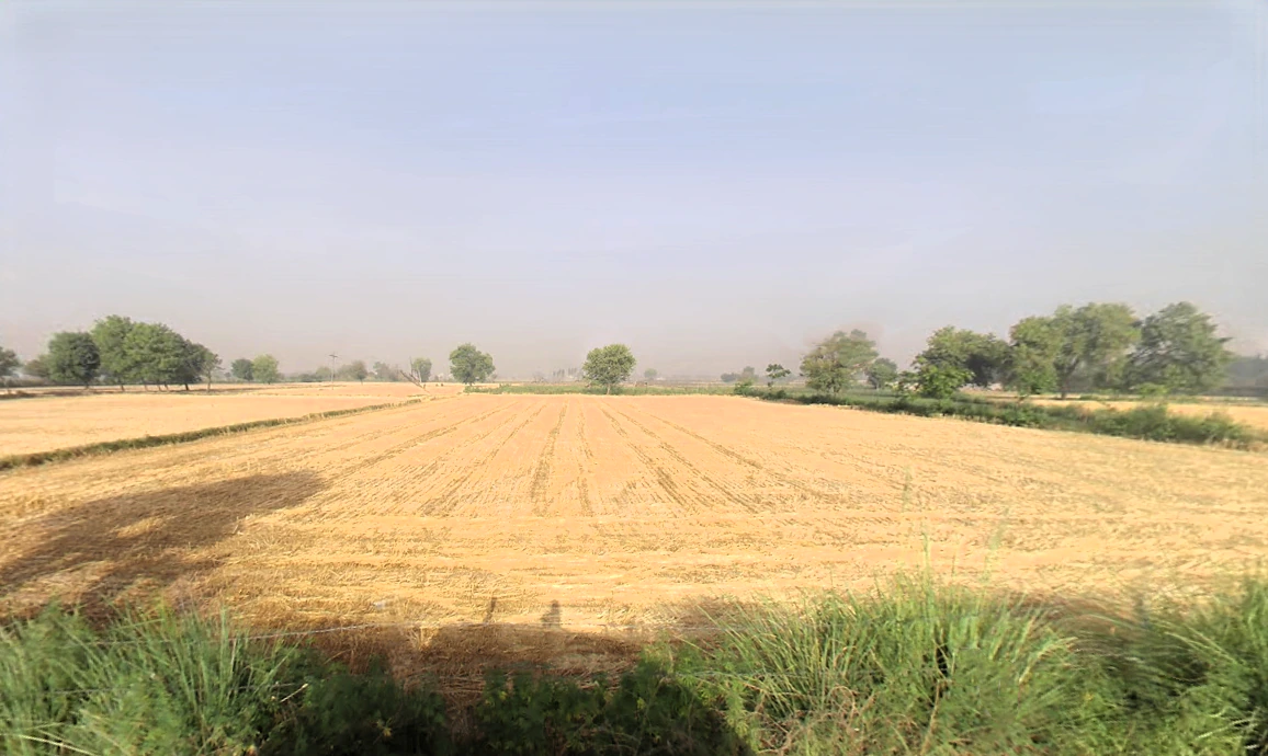 Mandhawali, Haryana 121101, India