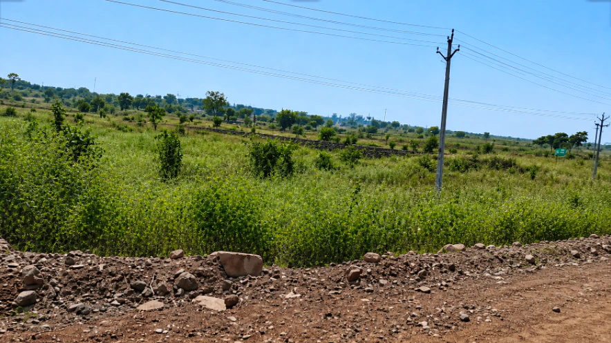 Mundi, Khandwa, Madhya Pradesh, India - Photo 3