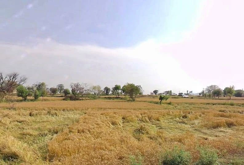 Baghora, Rajasthan 301405, India