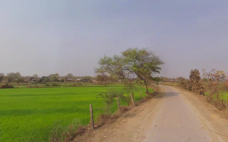 Khamhariya, Chhattisgarh 493449, India preview 3