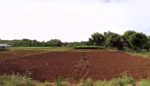 Itakudibbanahalli, Karnataka 572124, India preview 3