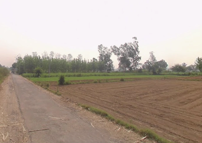 Mawana, Uttar Pradesh, India