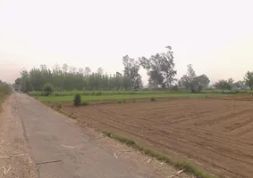 Mawana, Uttar Pradesh, India preview 2