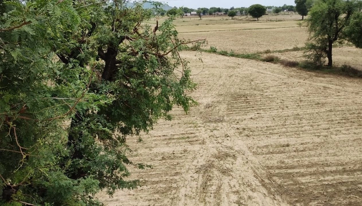 Pinan, Rajasthan, India