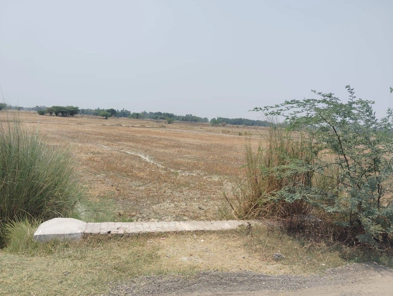 5CJR+PP Rorwa, Uttar Pradesh, India preview 3