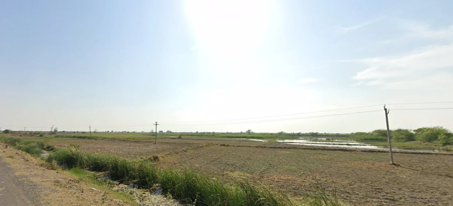 Panihari, Haryana 125121, India