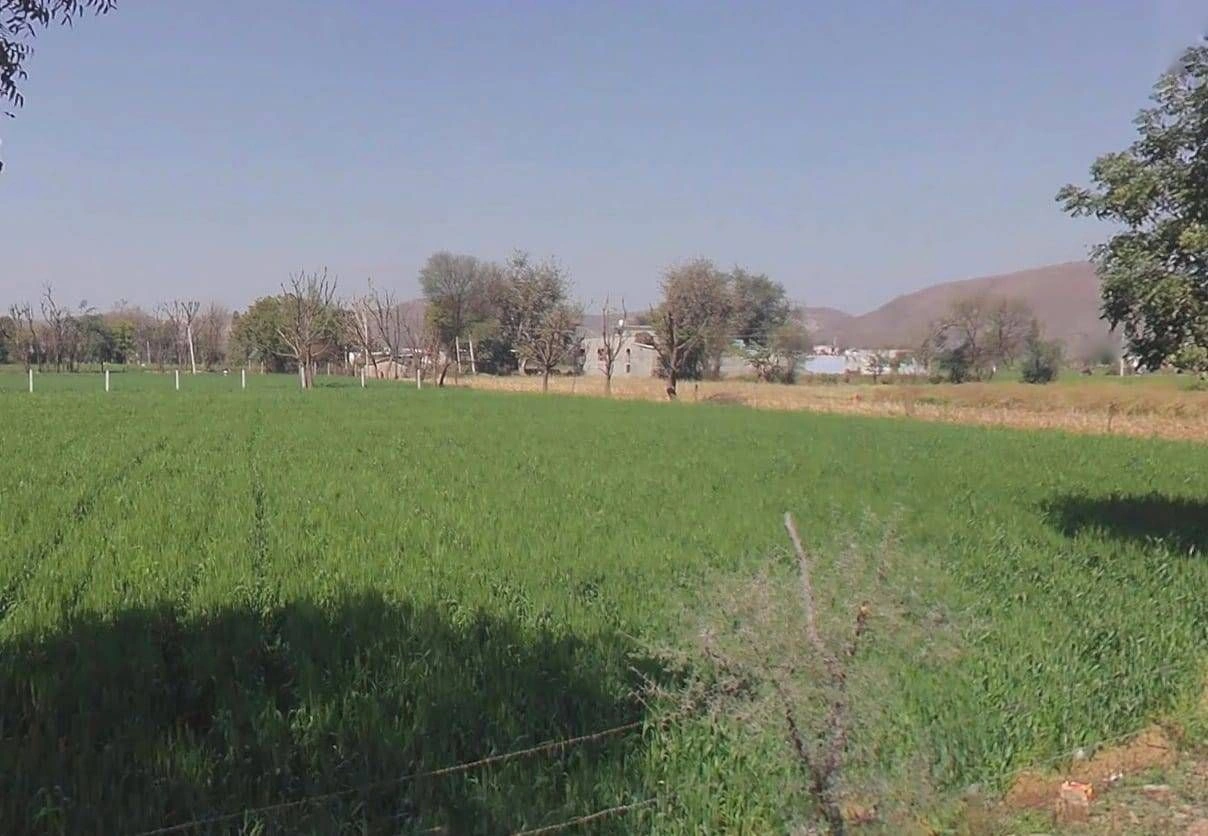 9P7H+55C, Bharkol, Rajasthan 321633, India preview 3