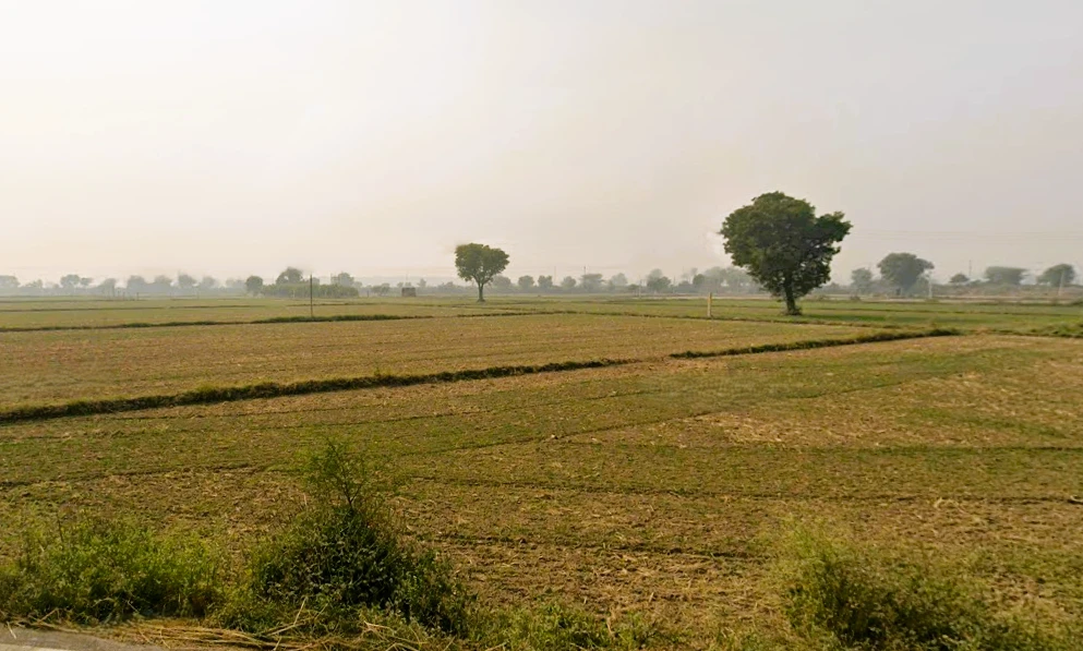 Jindran, Haryana, India