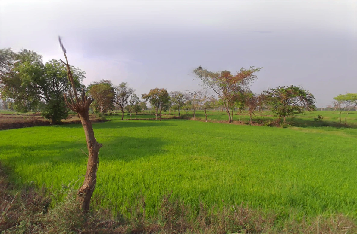 Tum Gaon, Chhattisgarh 493445, India