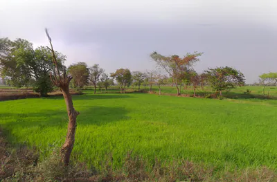 Tum Gaon, Chhattisgarh 493445, India preview 2