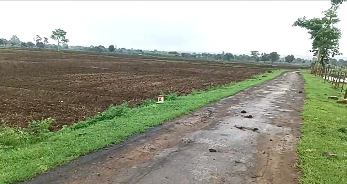 CHFM+82J, Ambari, Madhya Pradesh 464651, India