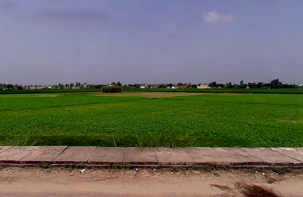 3M77+HVW, Bodhani, Loatani, Haryana 136129, India