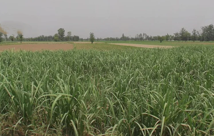 Garh Mukteshwar, Uttar Pradesh 245205, India preview 3