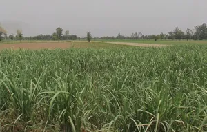 Garh Mukteshwar, Uttar Pradesh 245205, India preview 3