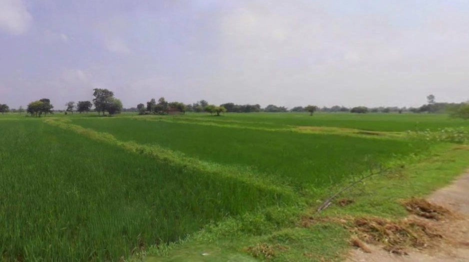 Tarana, Madhya Pradesh 456665, India