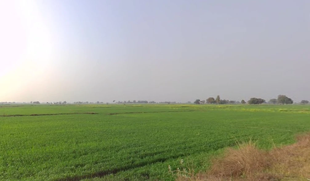 Chhimak, Madhya Pradesh 475110, India