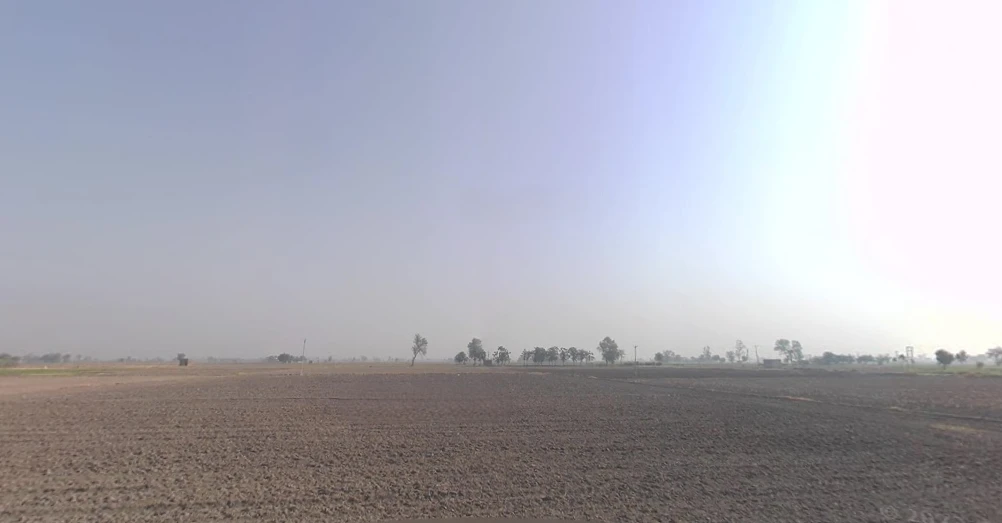 Patran, Punjab 147105, India