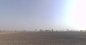 Patran, Punjab 147105, India preview 3