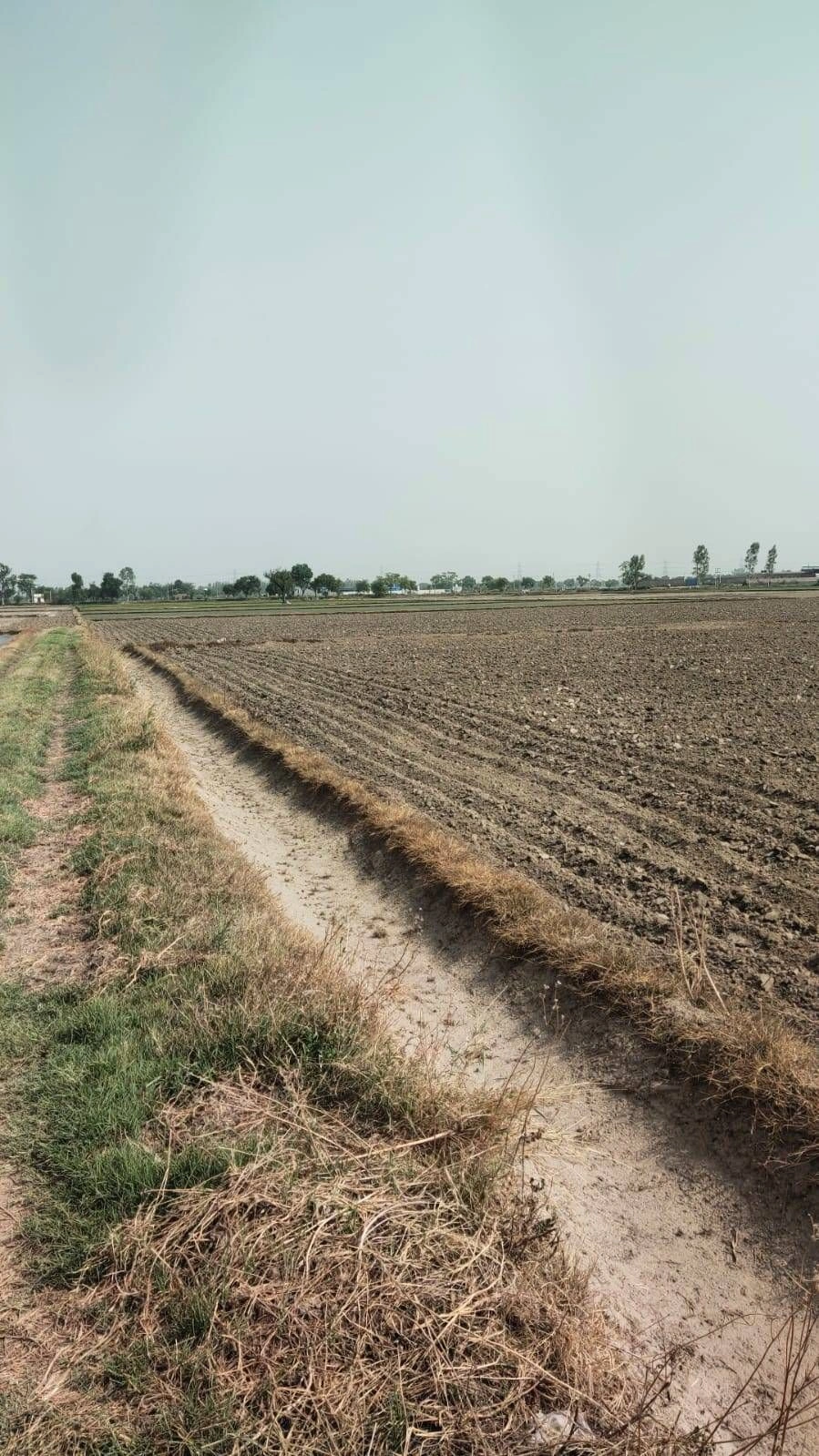 Nizampur, Uttar Pradesh, India preview 2