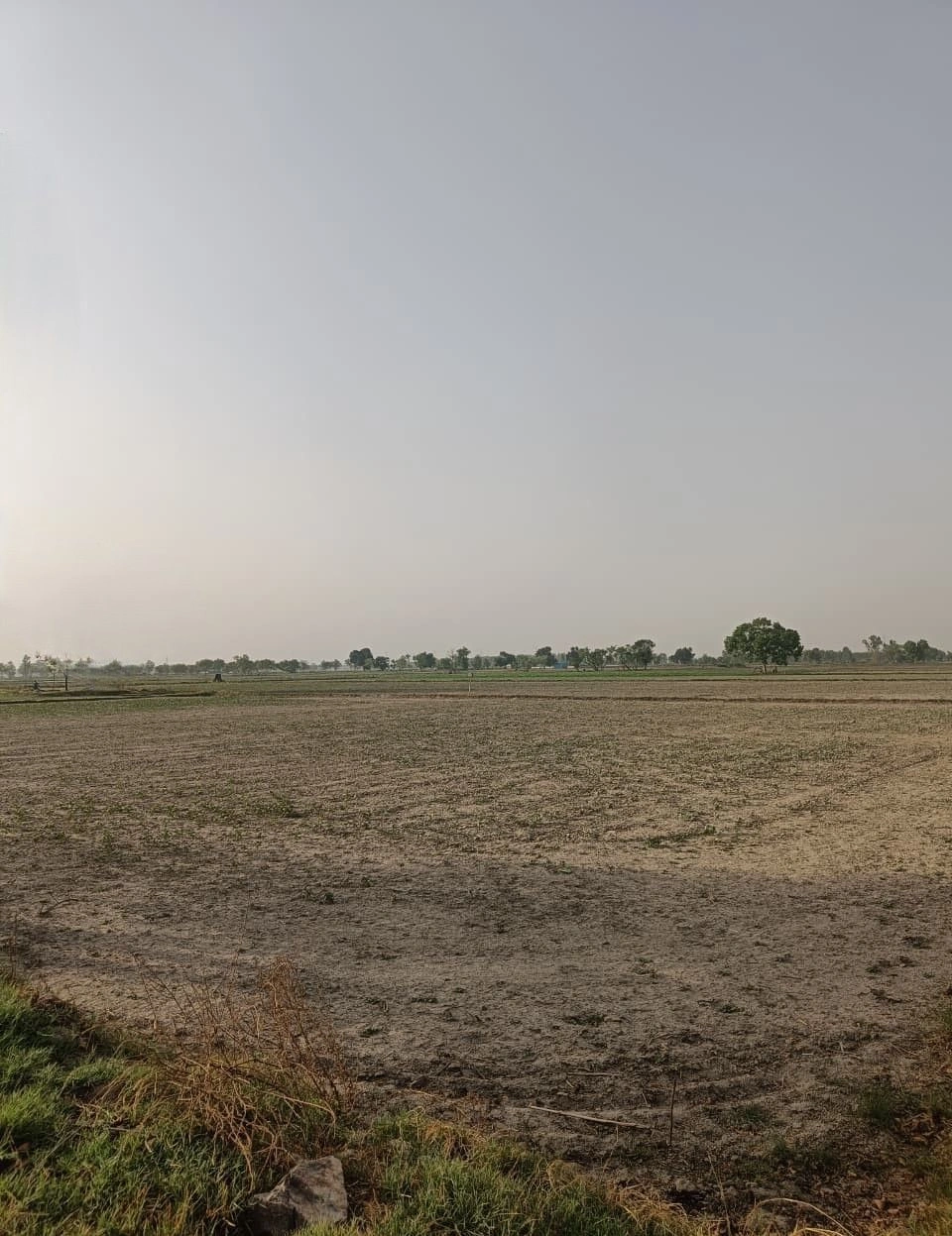Naugaon, Rajasthan 301025, India