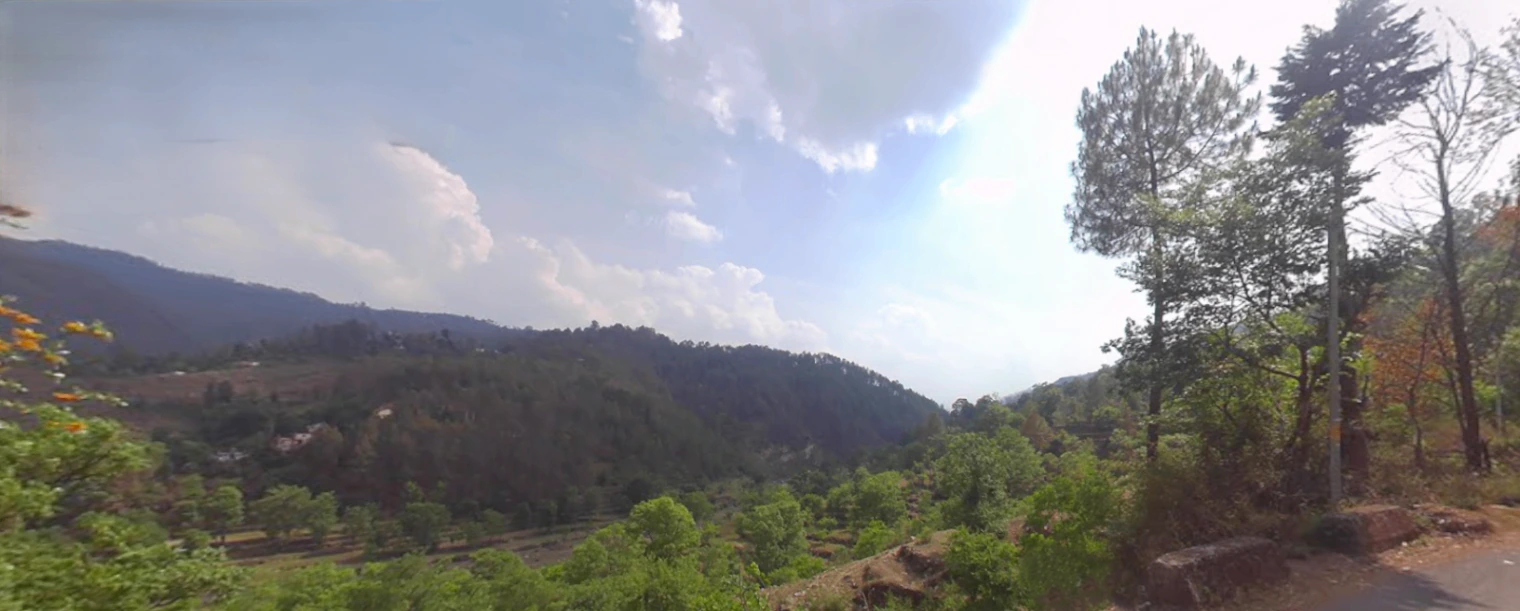 Tani, Uttarakhand, India