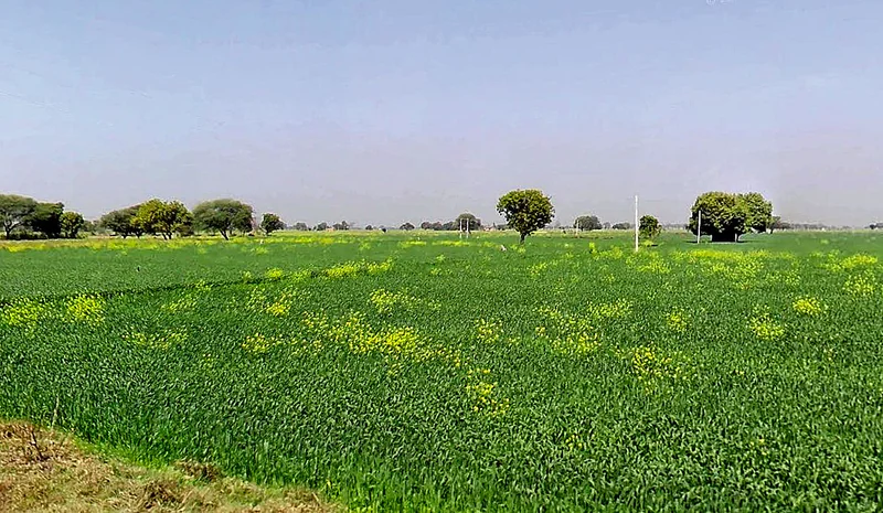 Gora, Madhya Pradesh 475685, India preview 3