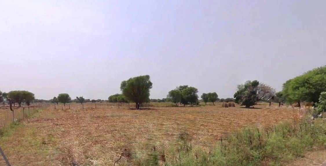 Mala Khera, Rajasthan 301406, India