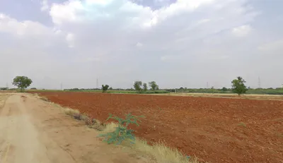 Somandepalle, Andhra Pradesh, India preview 3