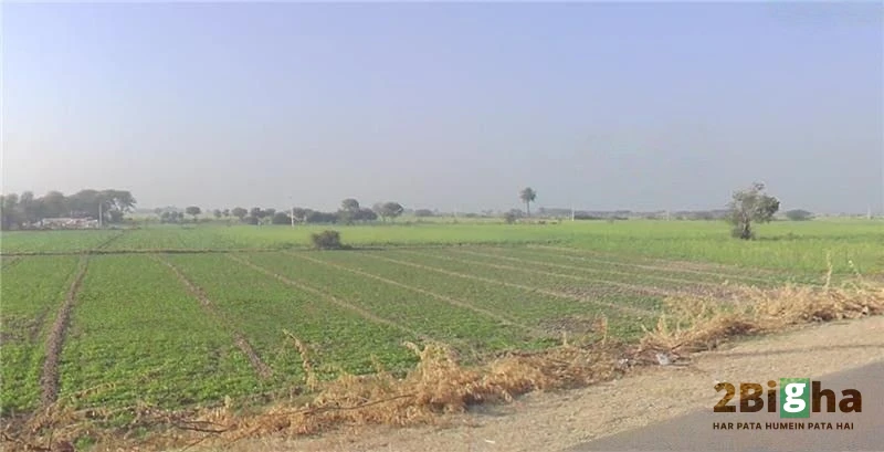Diggi, Rajasthan 304504, India