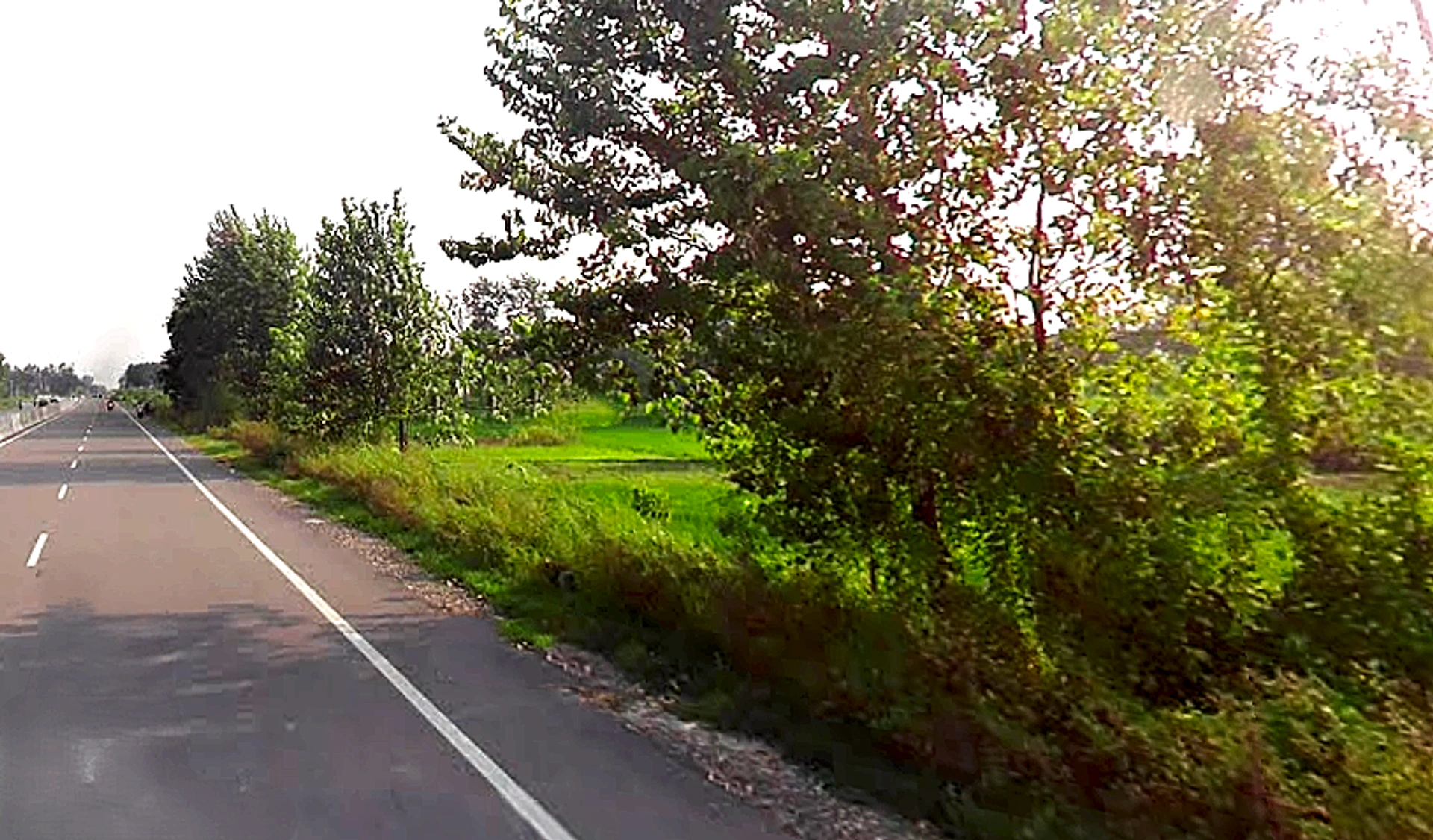 Sona Arjunpur, Uttar Pradesh 247451, India