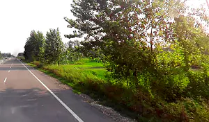 Sona Arjunpur, Uttar Pradesh 247451, India preview 3