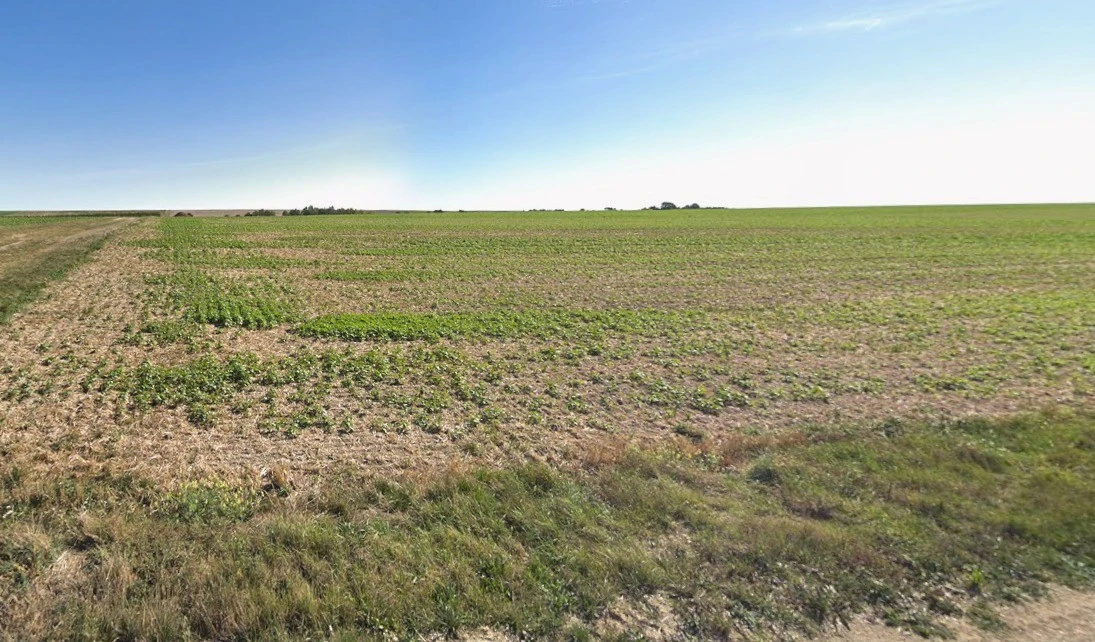 Ingoriya, Madhya Pradesh 456222, India