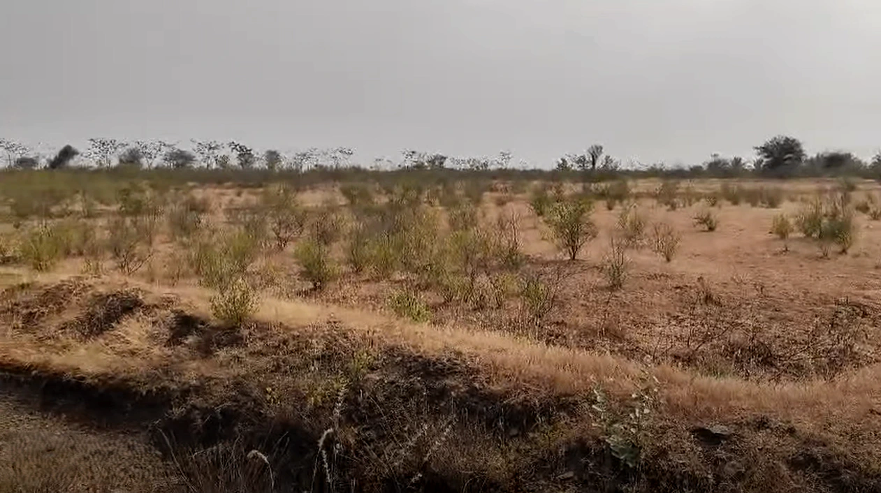 Ganadahunase, Karnataka 572115, India