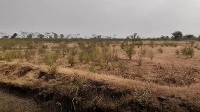 Ganadahunase, Karnataka 572115, India preview 3