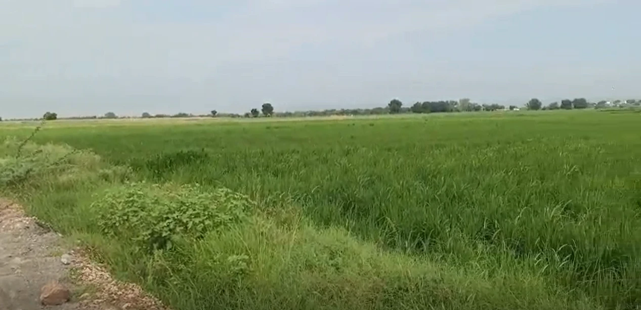 85CX+J2M, Kota, Notara, Rajasthan 325204, India