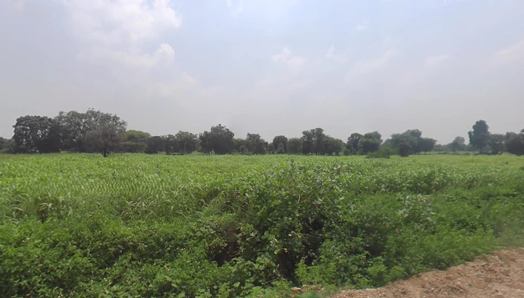 VPGQ+588, Karoli Ki Dhani, Rajasthan 313301, India