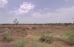 P2XG+R4 Cheepi Khera, Rajasthan, India preview 3